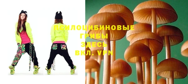 индика Армянск
