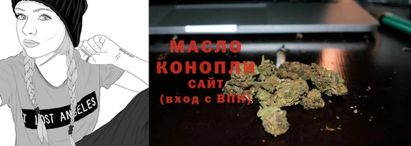 индика Армянск