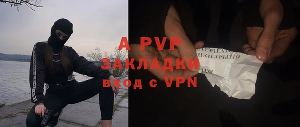 индика Армянск