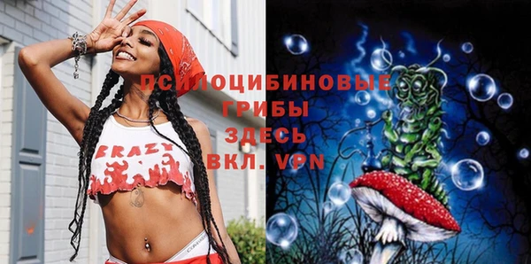 индика Армянск