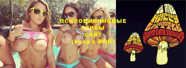 индика Армянск